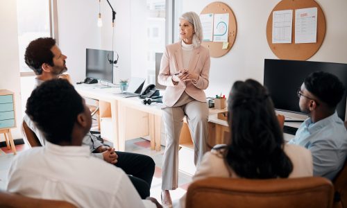 Any questions. Shot of a mature businesswoman sitting and training her team in the office.